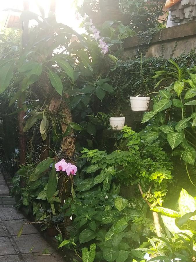 Santa Fe Homestay & Warong Amed Eksteriør billede