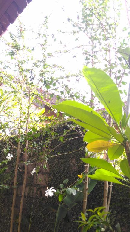 Santa Fe Homestay & Warong Amed Eksteriør billede